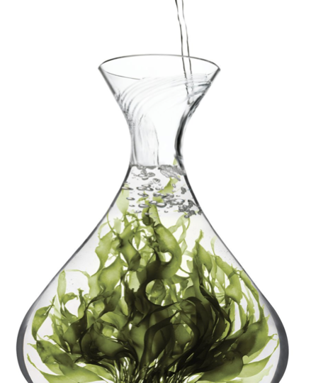 Sustainable packaging product