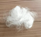 Fiber